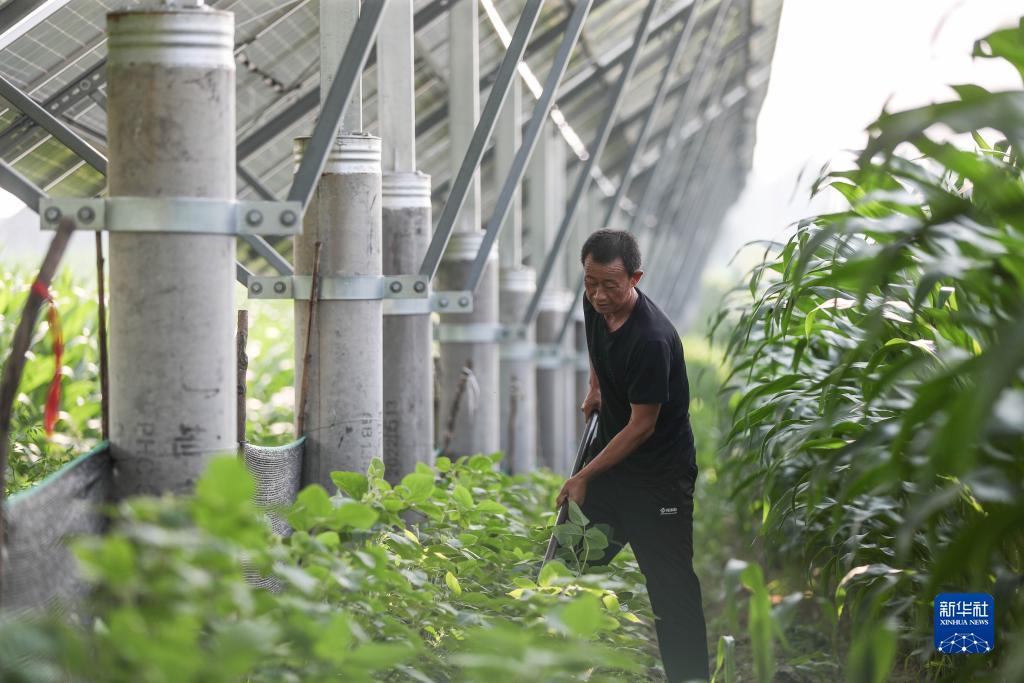 集结号支付宝充值中心